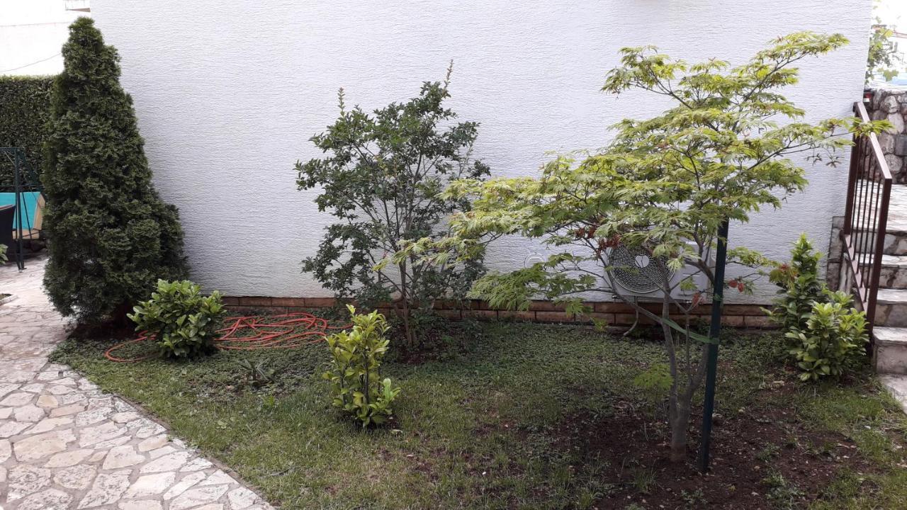 Apartman Svjeta *