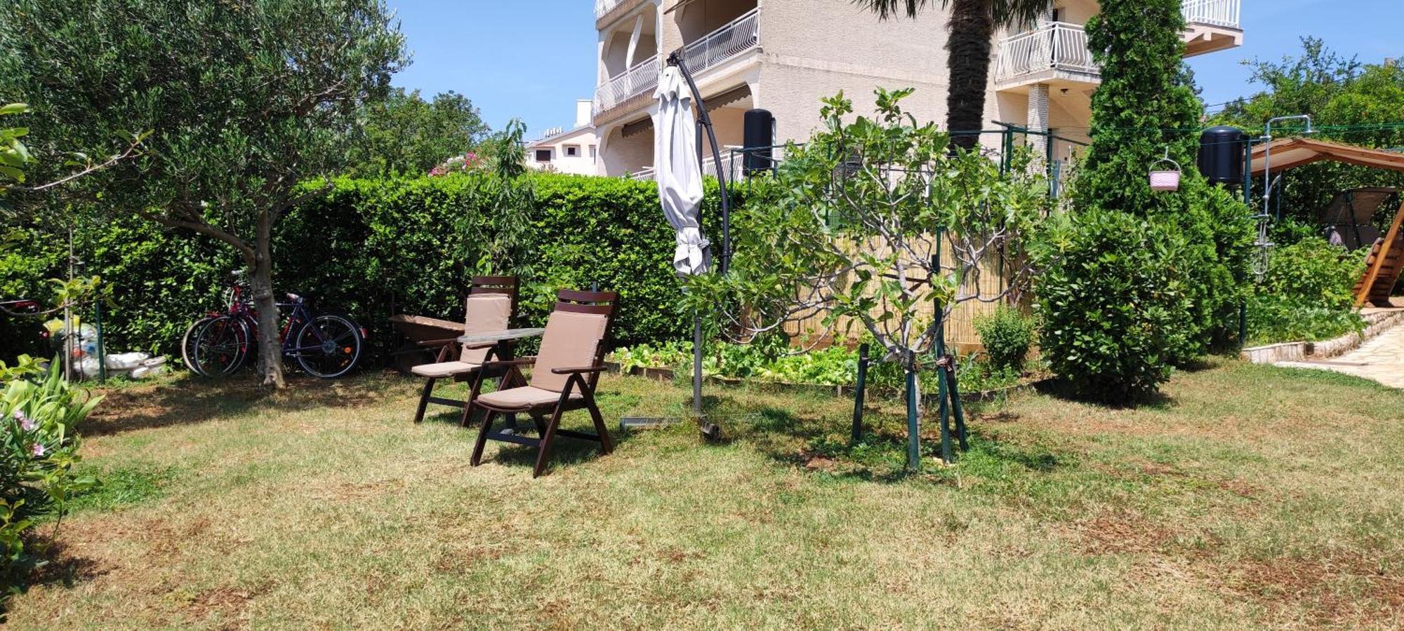 Svjeta Apartman