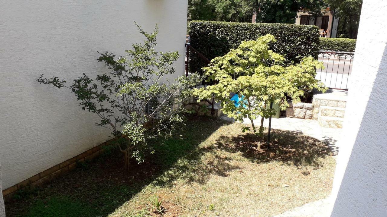 Apartman Svjeta